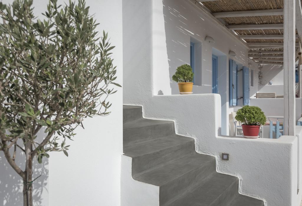 Apartment Ammos